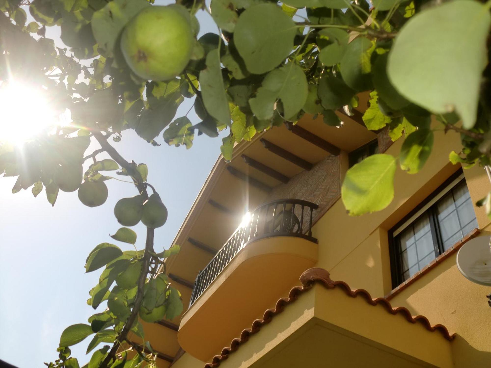 Posada Las Garzas Santoña Dış mekan fotoğraf