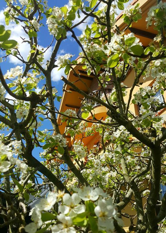Posada Las Garzas Santoña Dış mekan fotoğraf